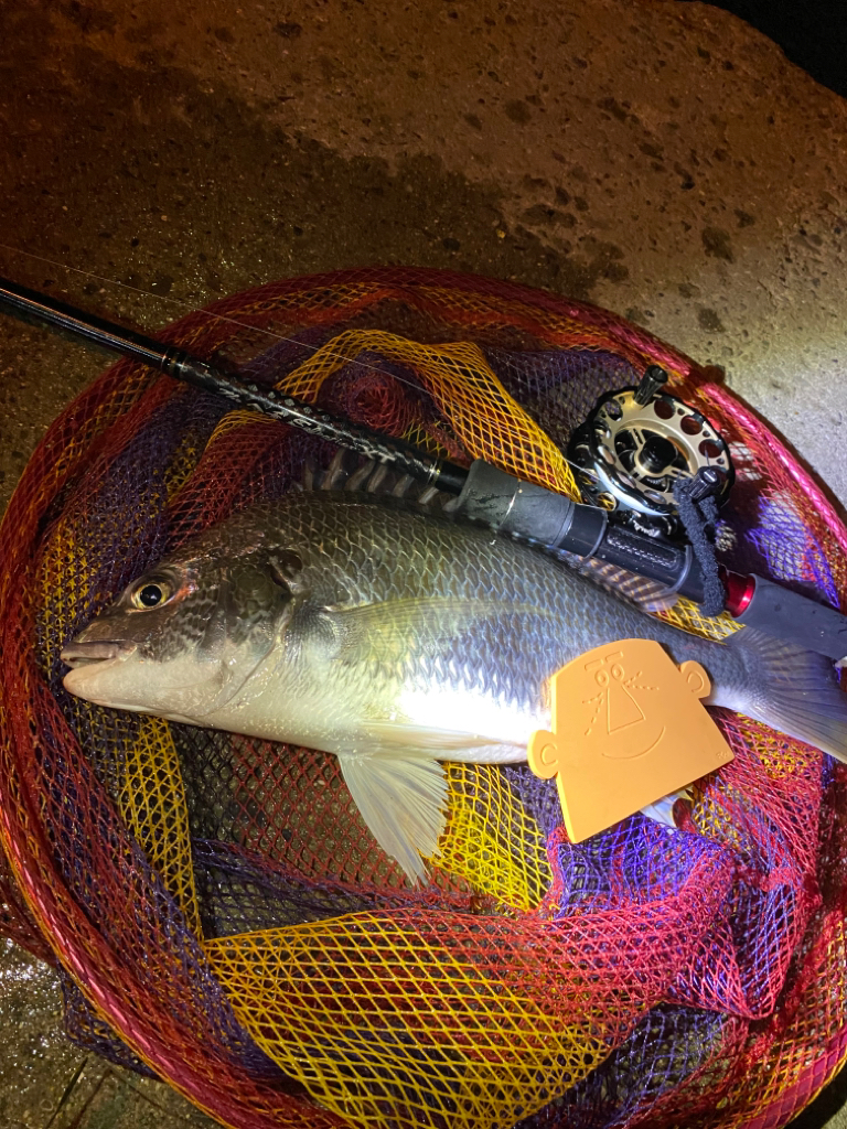 ヘチってきました