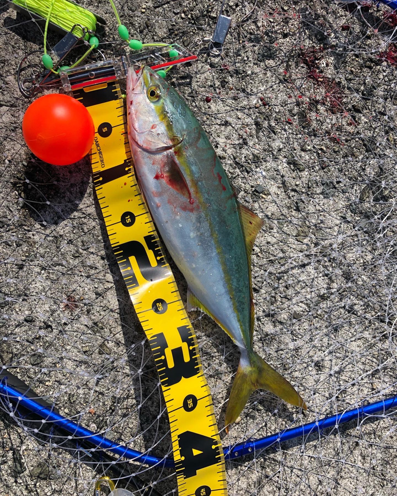 初の沖堤！ショアジギ！