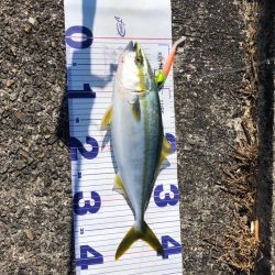 まだまだ暑いので要注意!