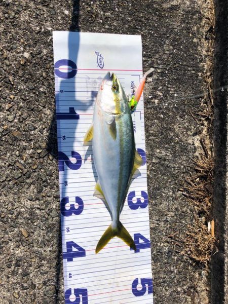 まだまだ暑いので要注意!