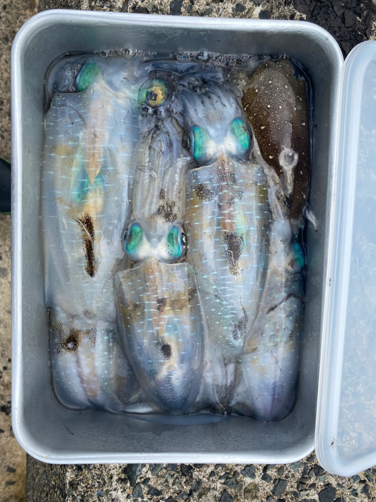 8か月ぶりの釣行