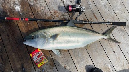 辨屋で青物堪能