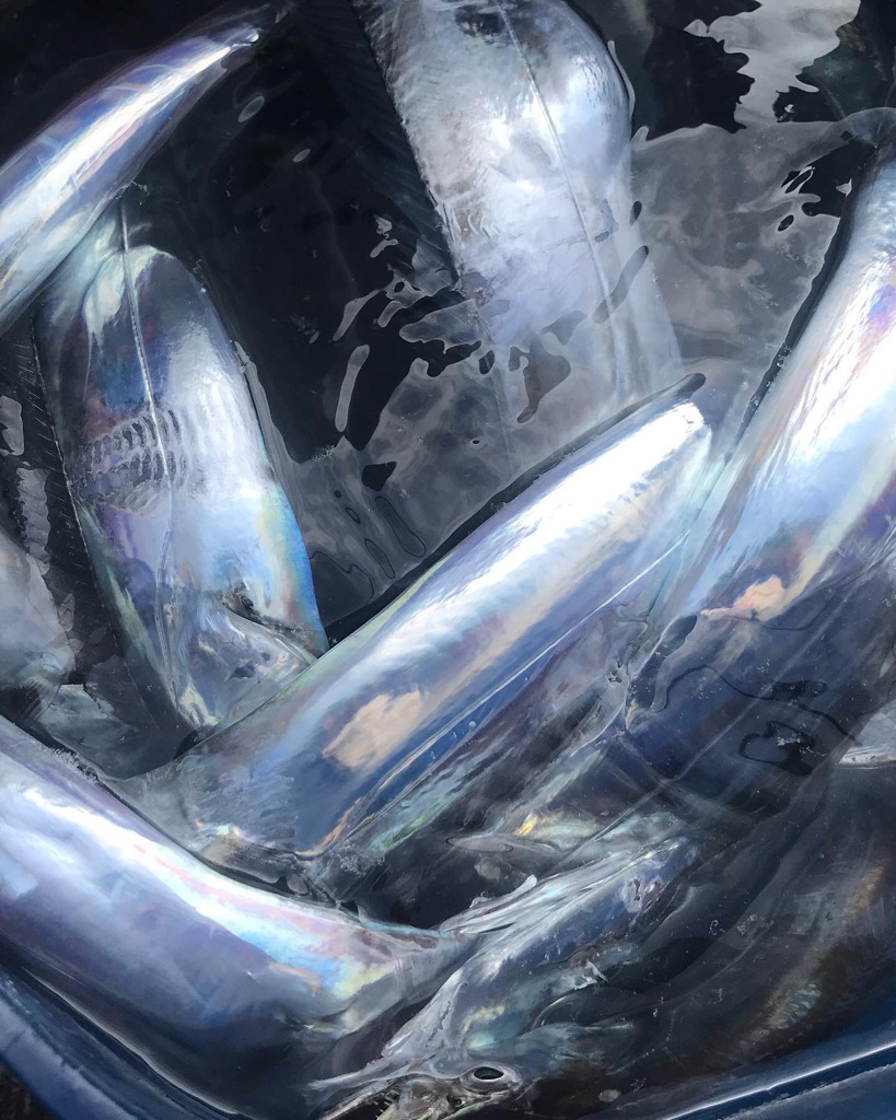 キングバトル予選