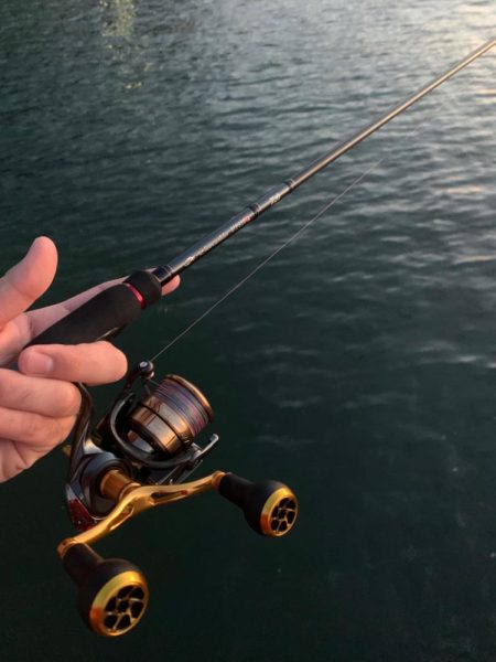 とりあえず墨族を投げれば海の状況がわかる。…