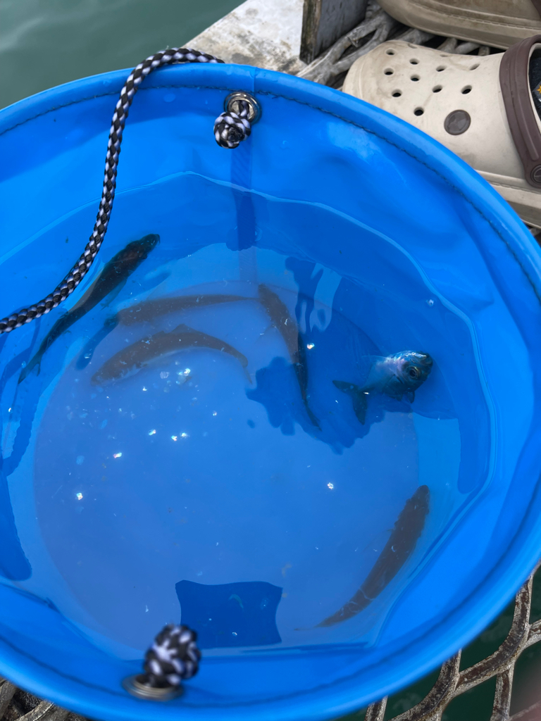 台風前のとっとパーク小島