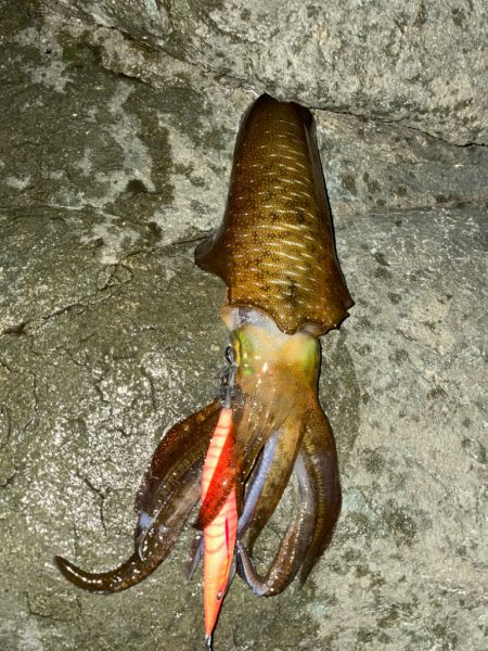 仕事終わりにのんびり！