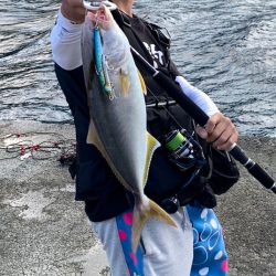 黒潮の恵みを頂いてきました