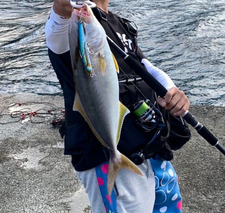 黒潮の恵みを頂いてきました