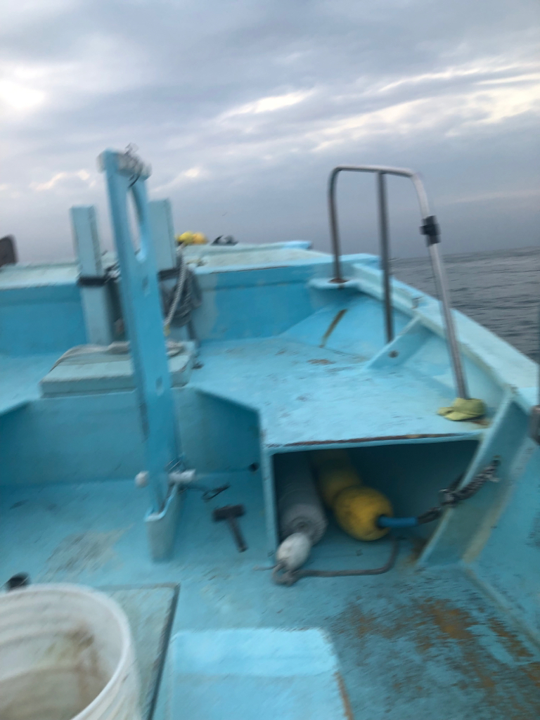 伊勢湾ジギング