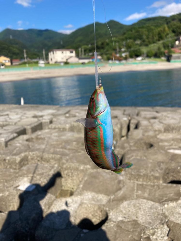 西伊豆まできて。。。