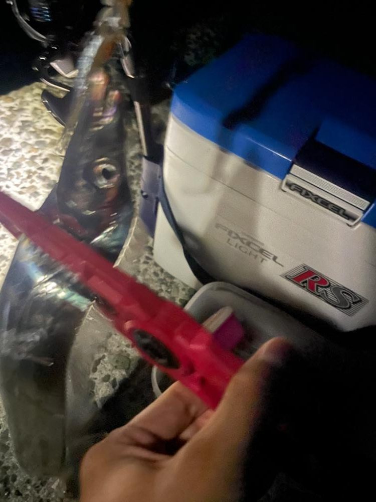 陸っぱり太刀魚テンヤ