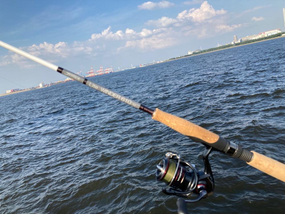 潮が動くと・・・