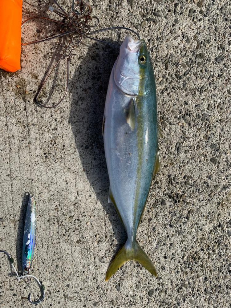 帰り際になんとか！