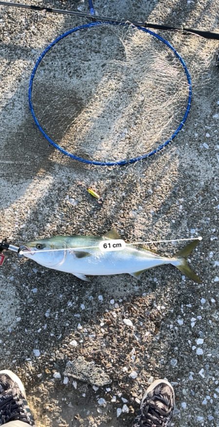 神明、こないだバラしたデカいヤツ