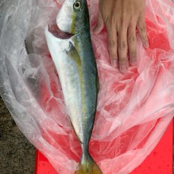 雨の日は体力と気力次第