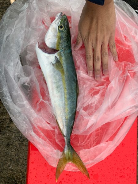 雨の日は体力と気力次第