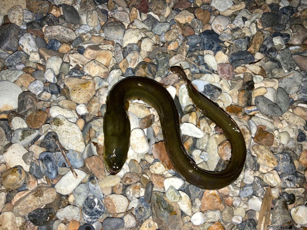 久々ちょい投げ