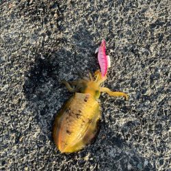 台風前の秋の気配