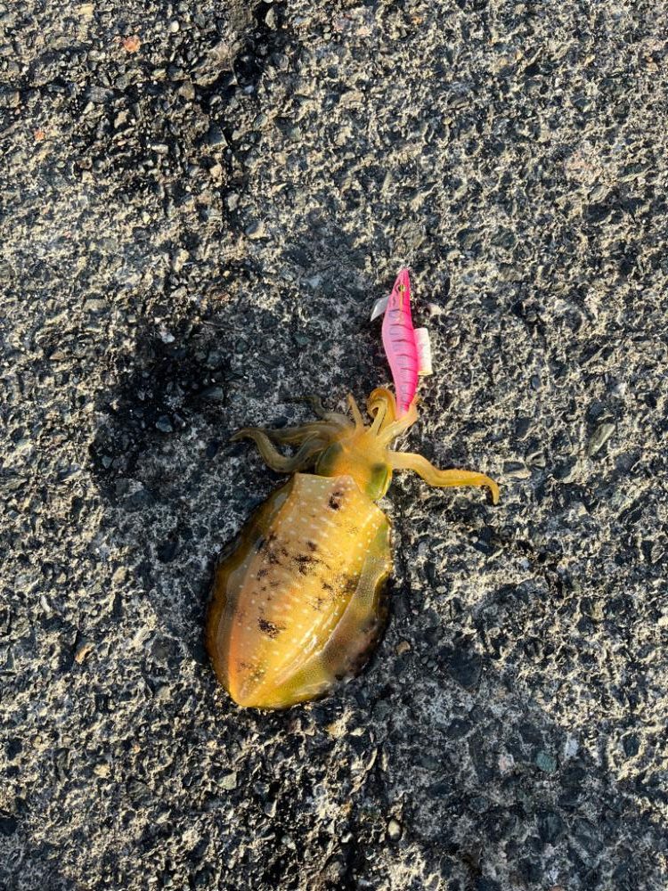 台風前の秋の気配