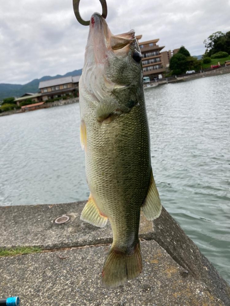 フリーリグで一発！