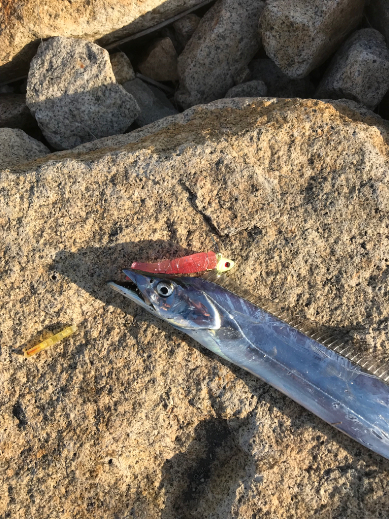 ようやく開幕！