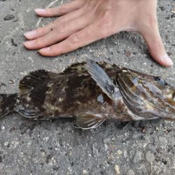 第三回雰囲気あります