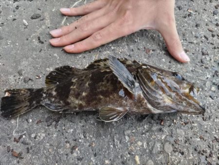 第三回雰囲気あります