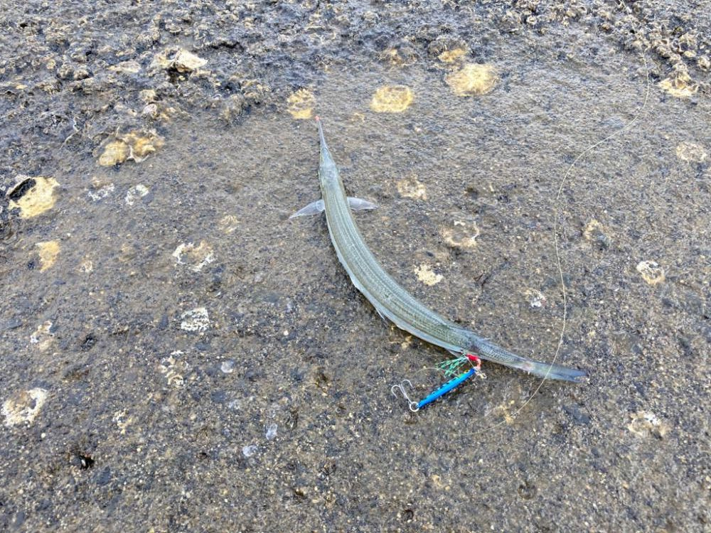 ロッド入魂完了