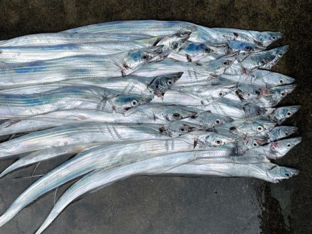 自己新記録‼️…