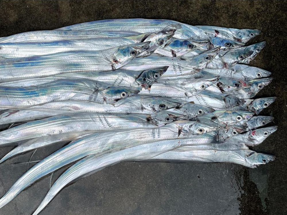 自己新記録‼️