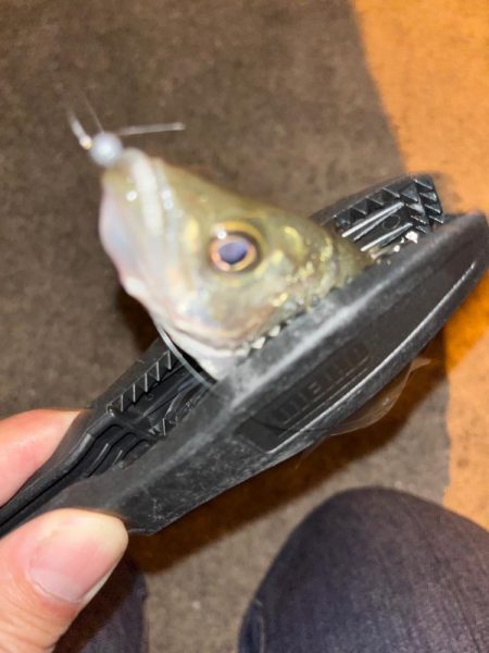 スッキリアジング