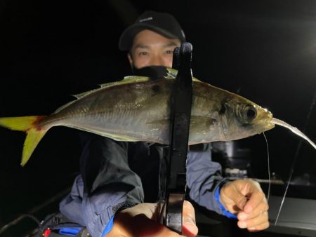 バチコンシーズン開幕！