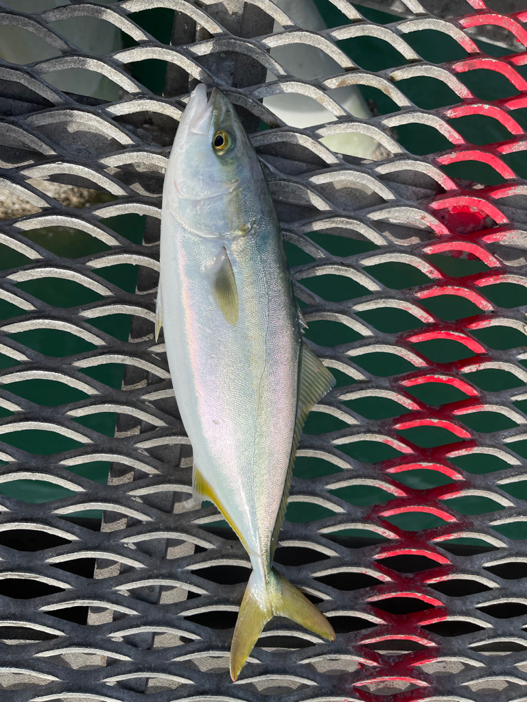 好調とっとパーク