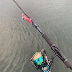 相棒は墨族！入れた瞬間スイッチが入るエギを使いこなしたい