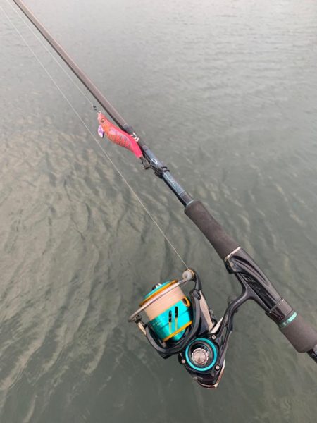 相棒は墨族！入れた瞬間スイッチが入るエギを使いこなしたい