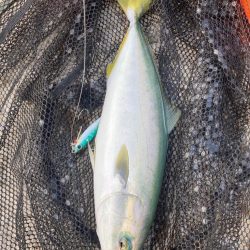 2022ライトゲーム第33戦