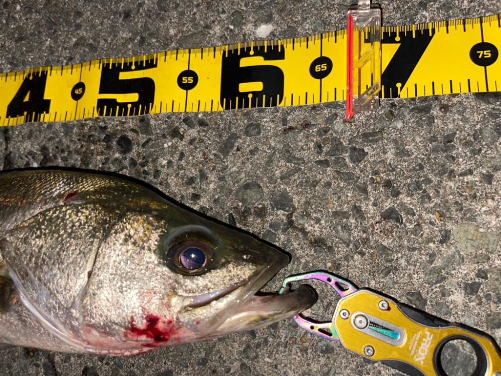 再現性を求めて