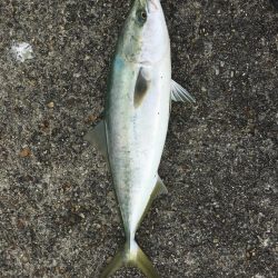 第5回雰囲気あります