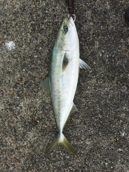 第5回雰囲気あります