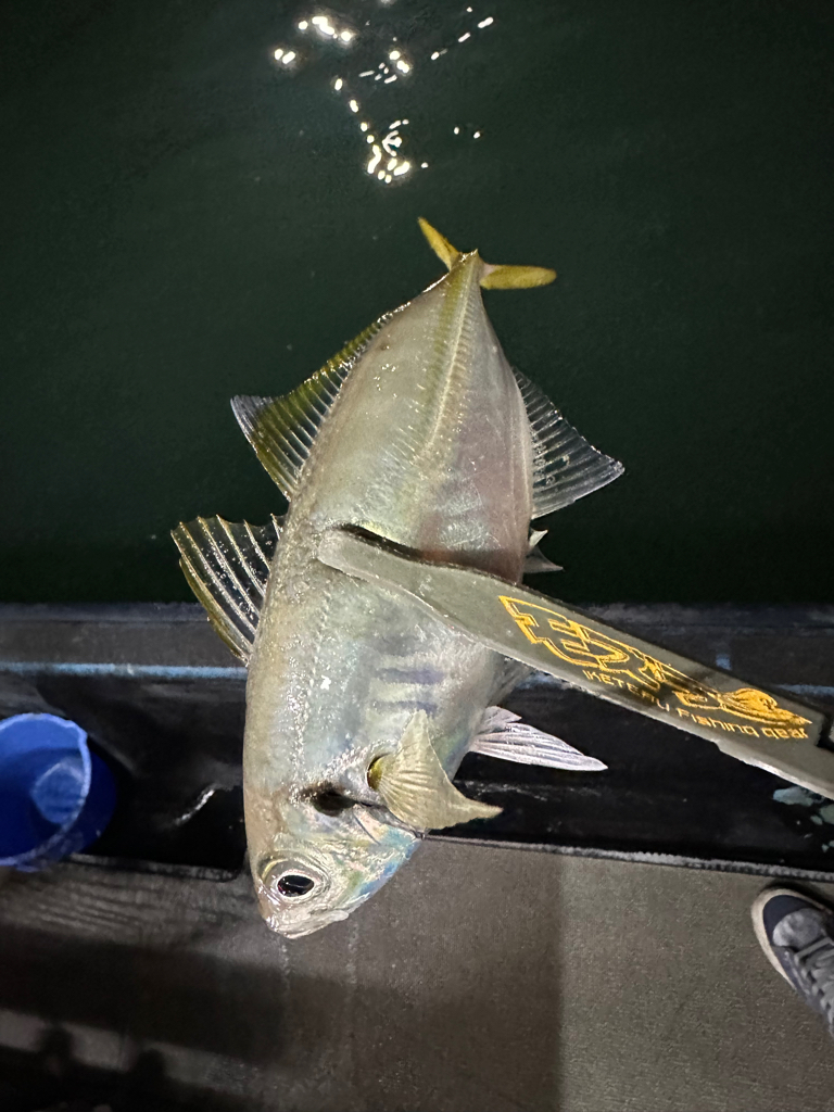 ボートアジング