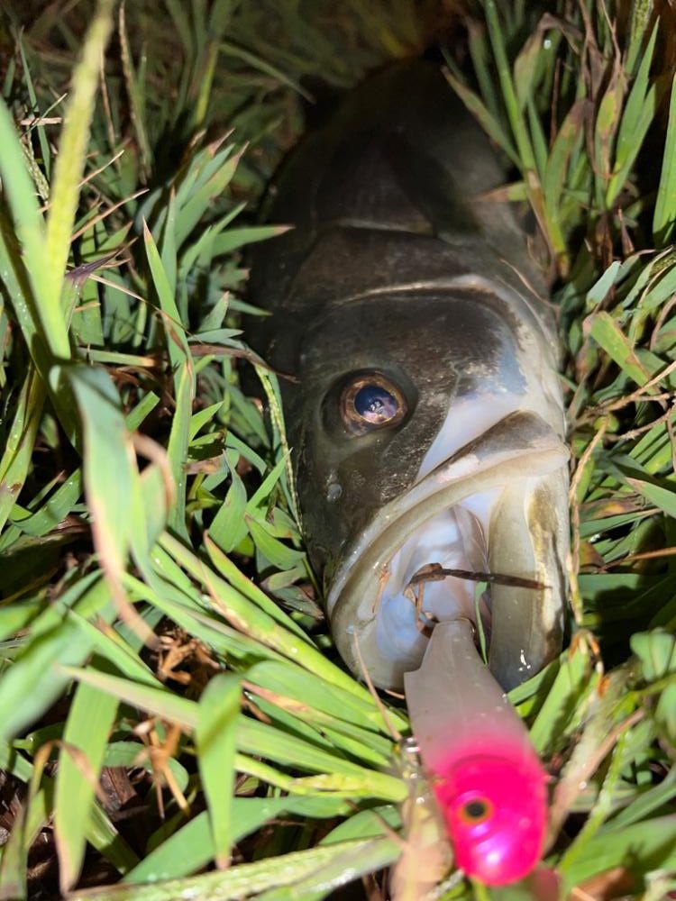 バイブレーションのショートリフト&フォール