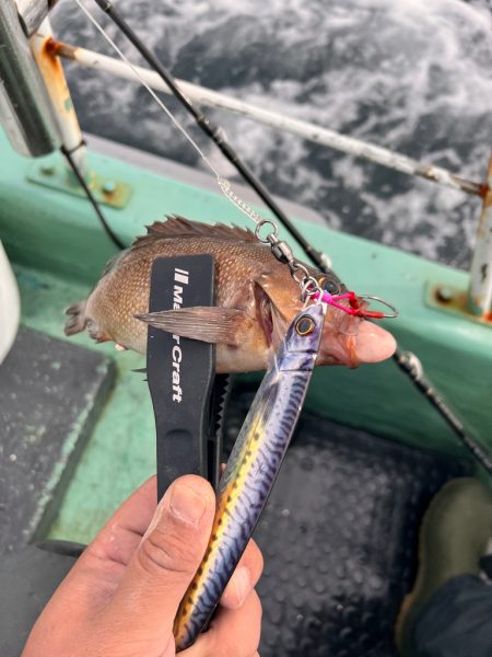 オフショアジギング