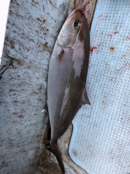 ジギング満喫☆