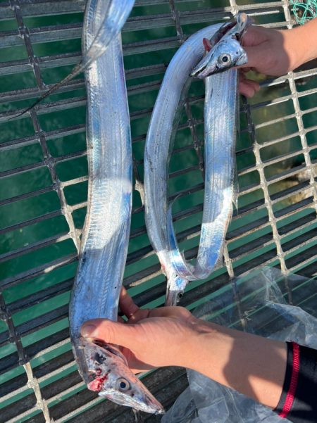 太刀魚　テンヤ