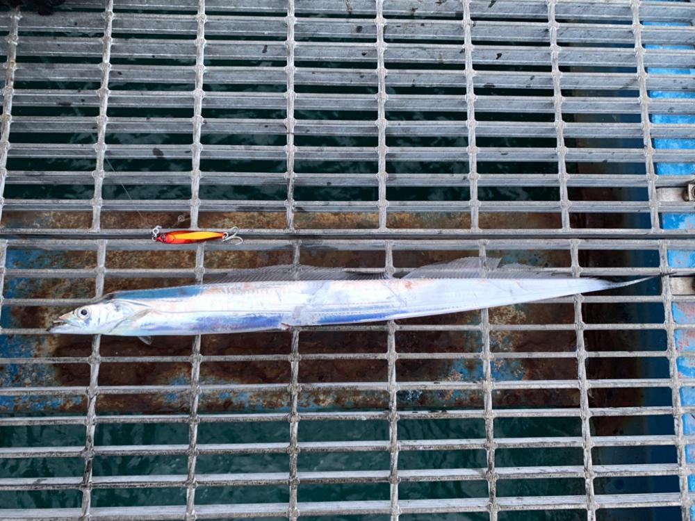 爆風の中の釣り