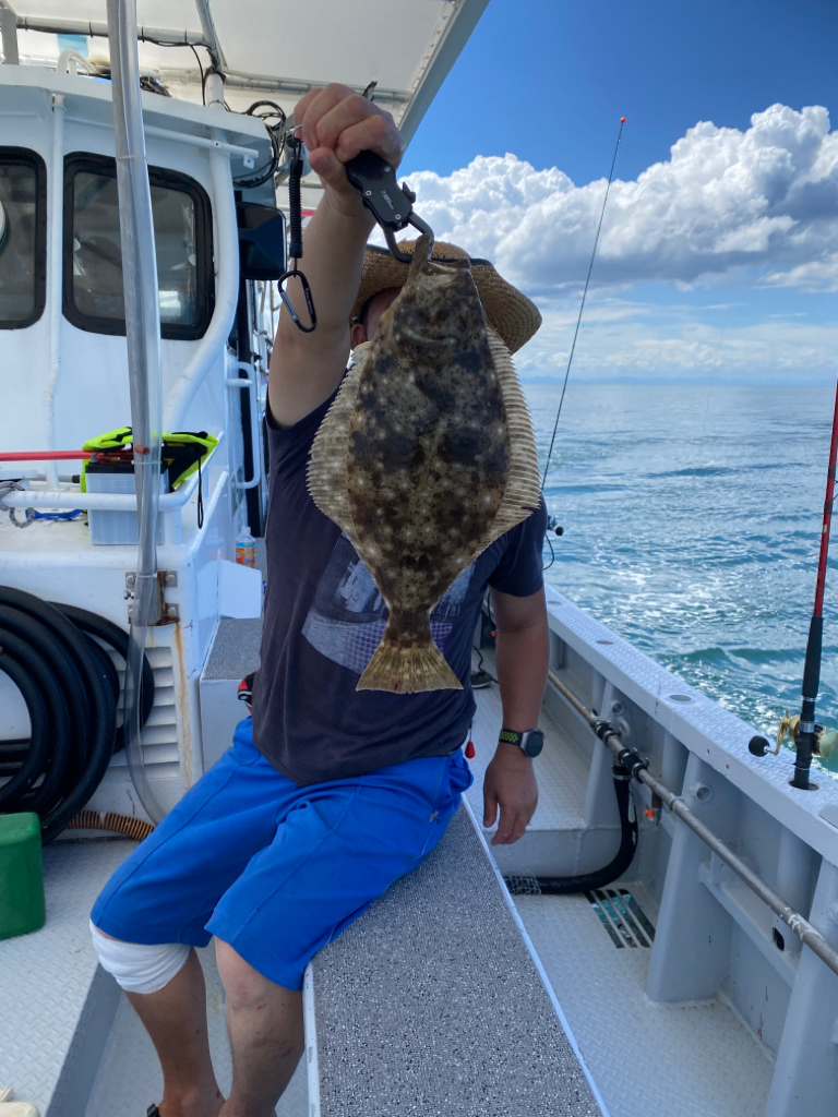 淡路島　落とし込み釣り