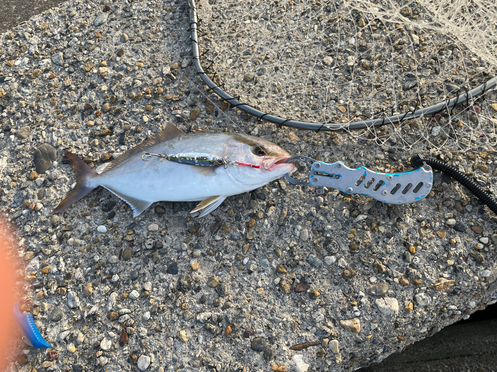 初の40オーバーシオ