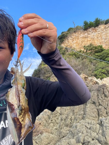 磯地での釣果