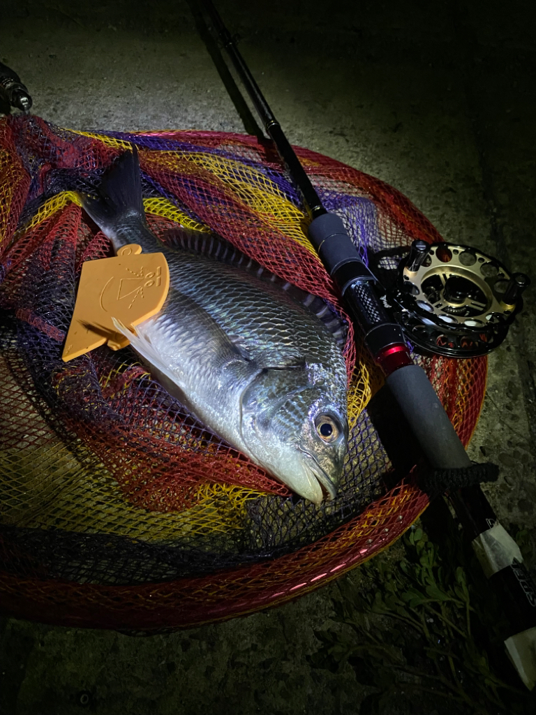 ヘチってきました