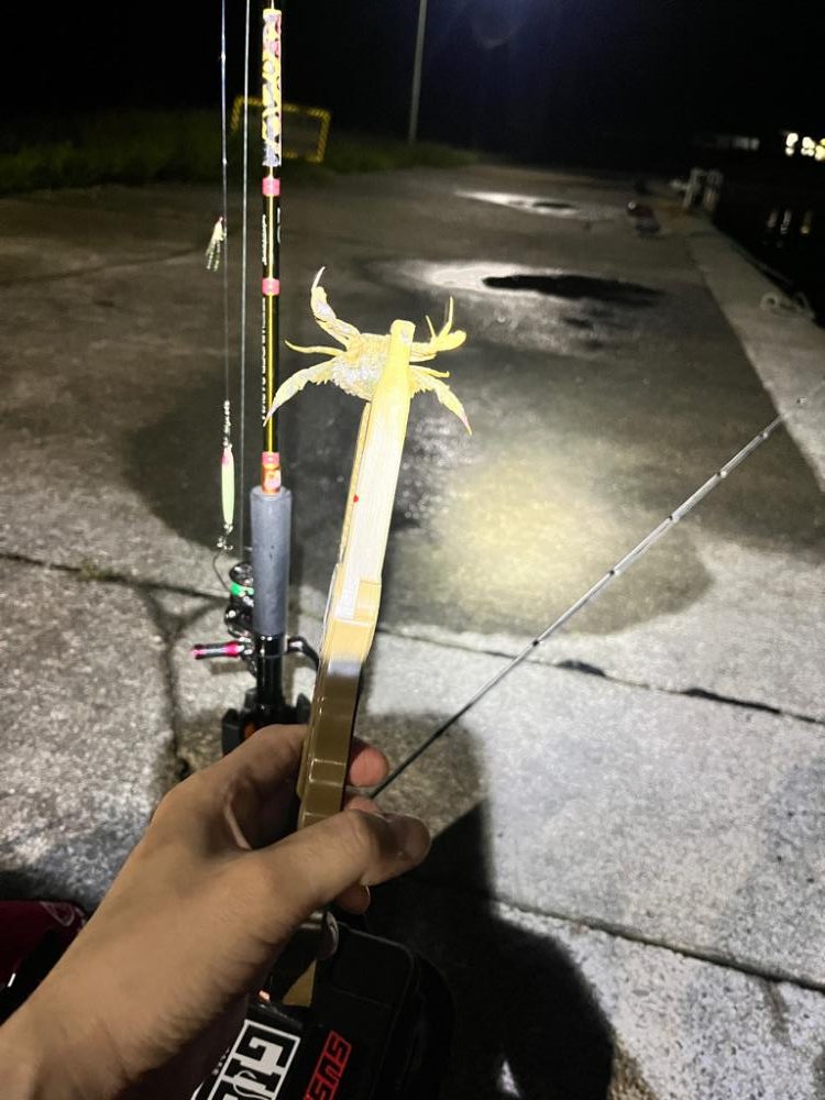 アジングという名の五目釣り